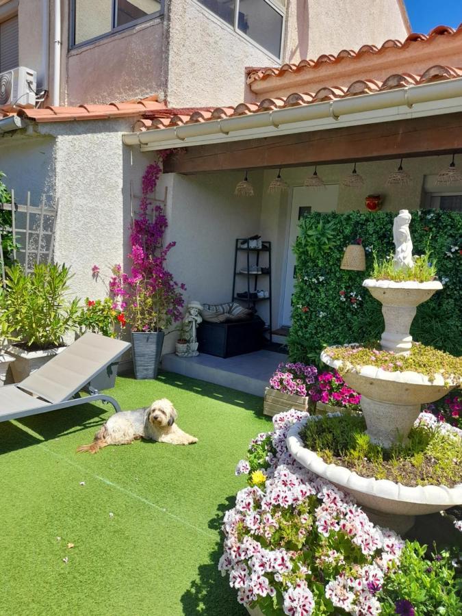 Les Pieds Dans L'Eau Apartman Sainte-Marie-la-Mer Kültér fotó